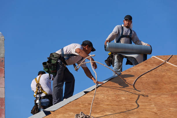 Best Roof Leak Repair  in Springdale, PA