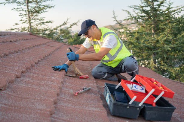 Best Roof Leak Repair  in Springdale, PA